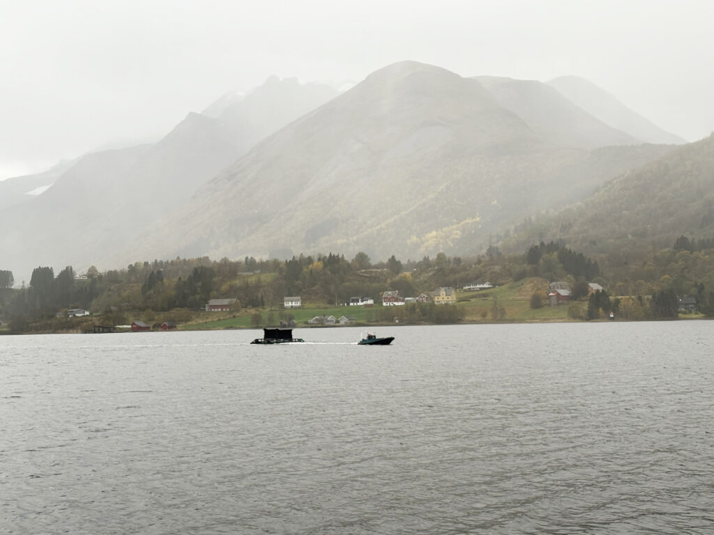 Serviceflåter under slep til speditør
